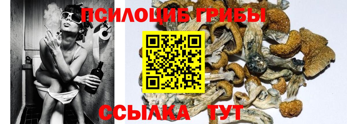 Галлюциногенные грибы GOLDEN TEACHER  Вход с VPN  Галлюциногенные грибы GOLDEN TEACHER  даркнет сайт  Ухта 