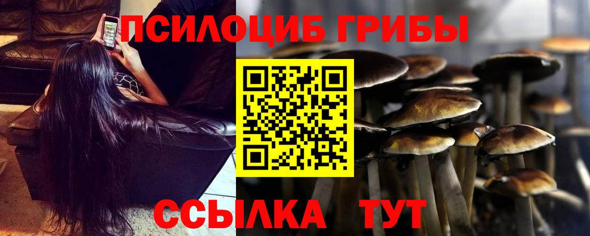 Псилоцибиновые грибы Psilocybine cubensis Ухта
